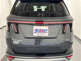 2025 Hyundai Tucson limited