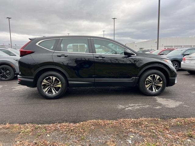 2022 honda cr-v special edition