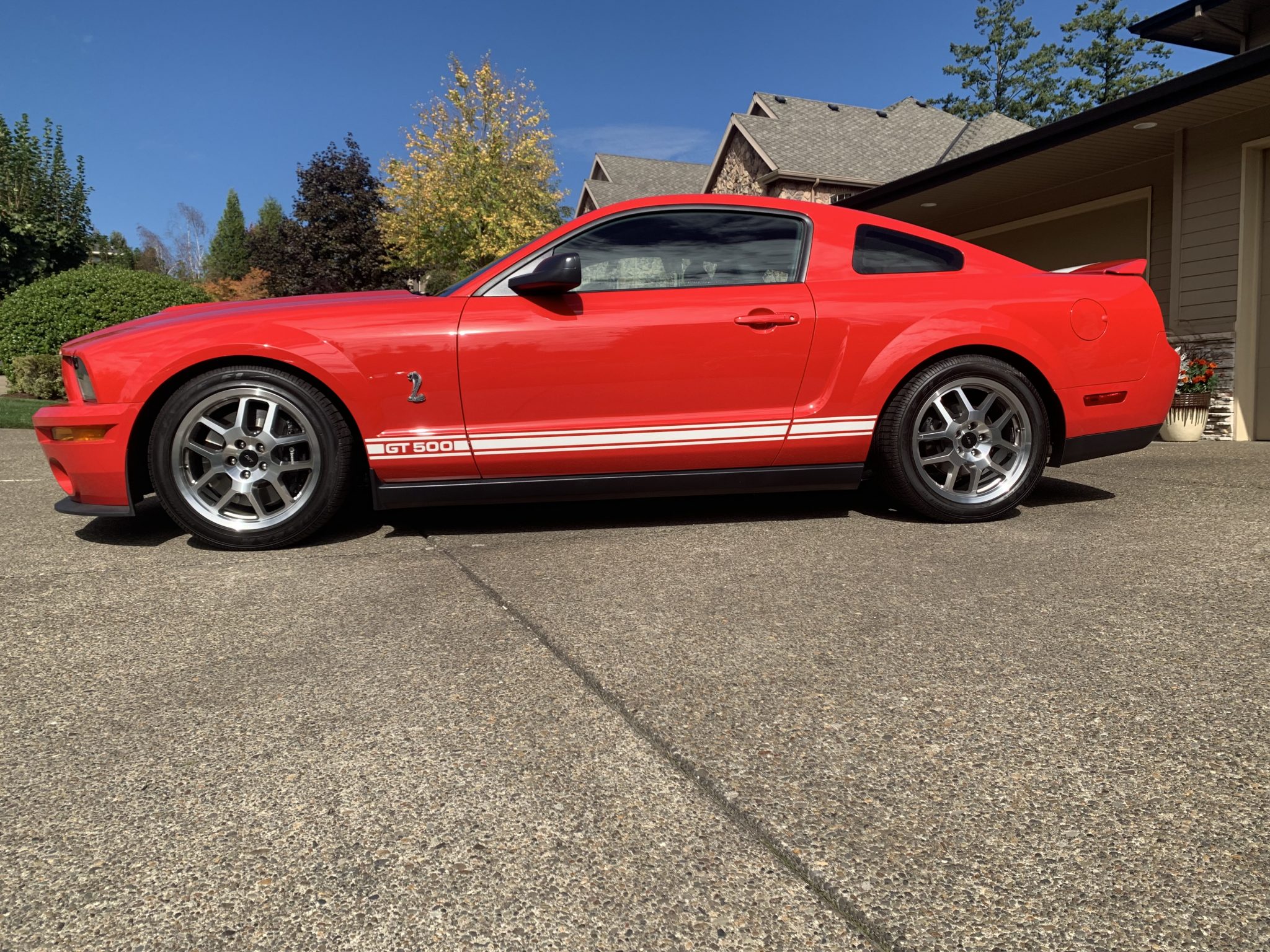 2007 ford shelby gt500