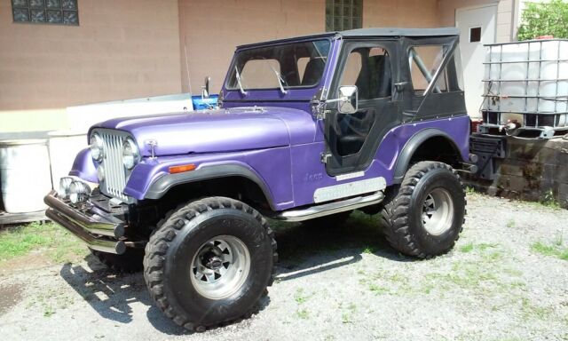 jeep 304 v8