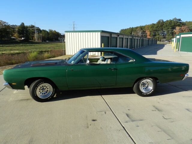 very beautiful roadrunner! must absolutely be sold!!!