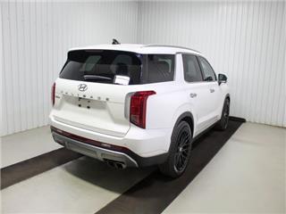 2023 Hyundai Palisade limited