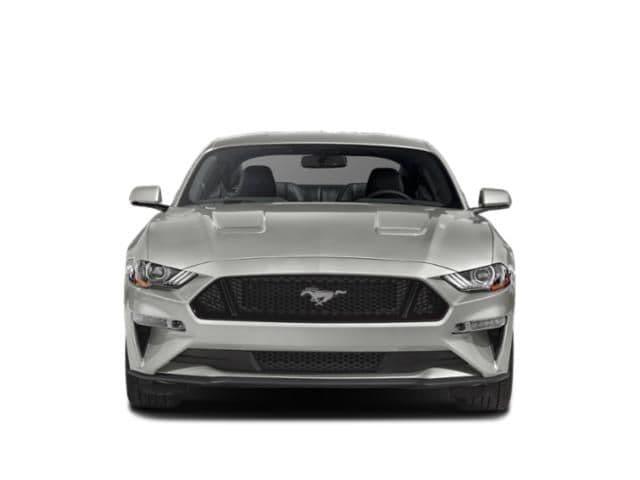 2019 ford mustang gt premium in greenville, south carolina