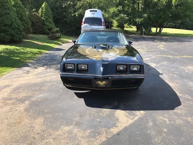 1981 pontiac firebird trans am se bandit