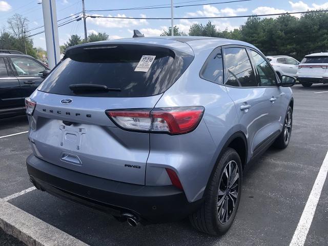 2022 ford escape sel