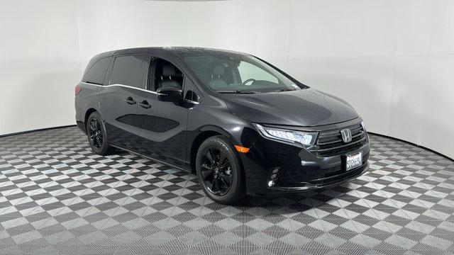 2023 honda odyssey sport