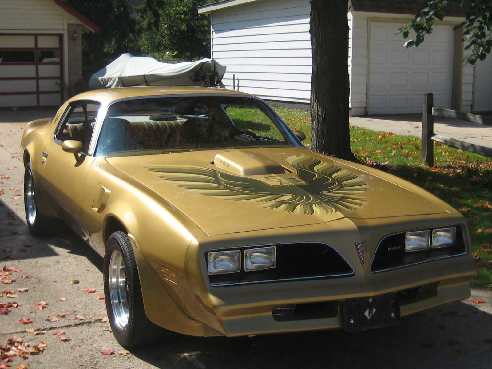 1978 pontiac firebird trans am coupe 2-door 6.6l