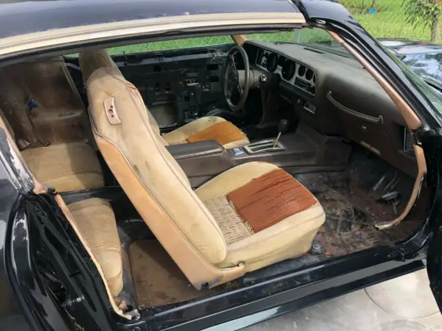 1981 transam a collectors item