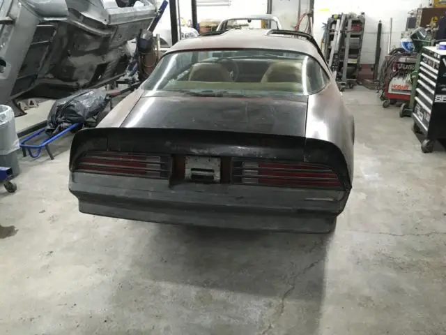 1977 pontiac firebird trans am y82 special edition