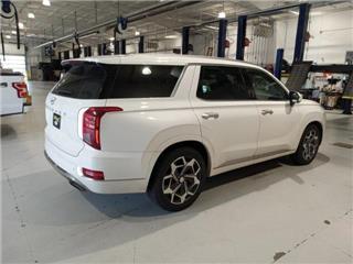 2022 Hyundai Palisade calligraphy
