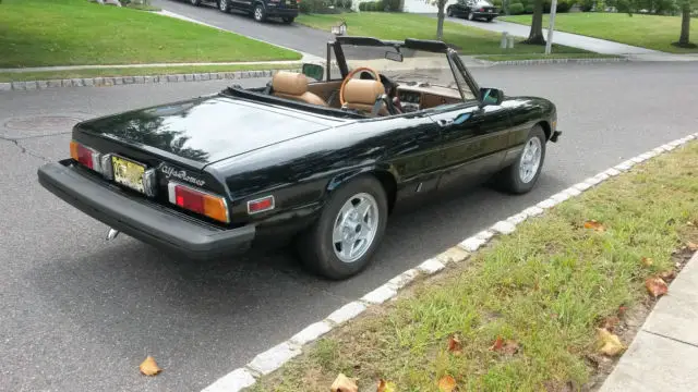1982 alfa romeo spider veloce