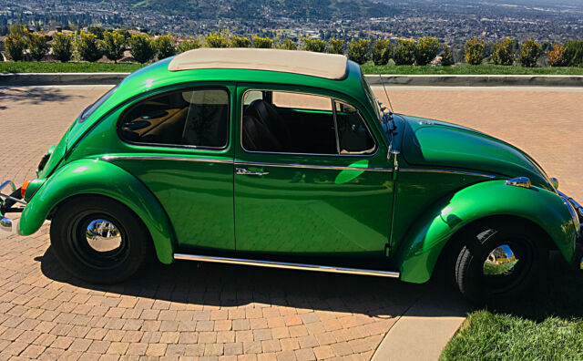 1966 volkswagen beetle - custom - extensive restoration