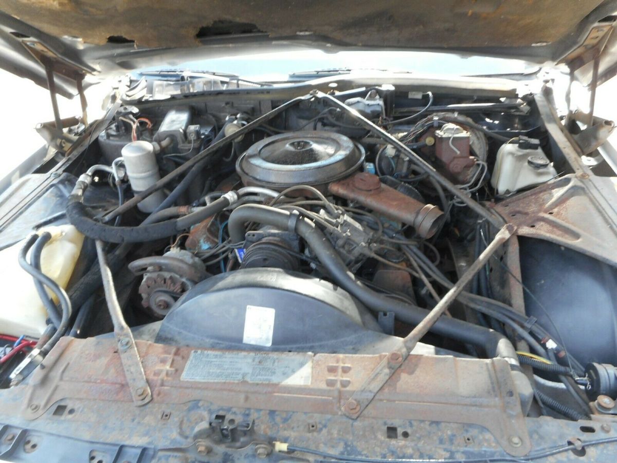 1979 cadillac coupe de ville, nice solid western car no reserve auction