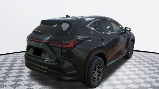 2025 Lexus NX