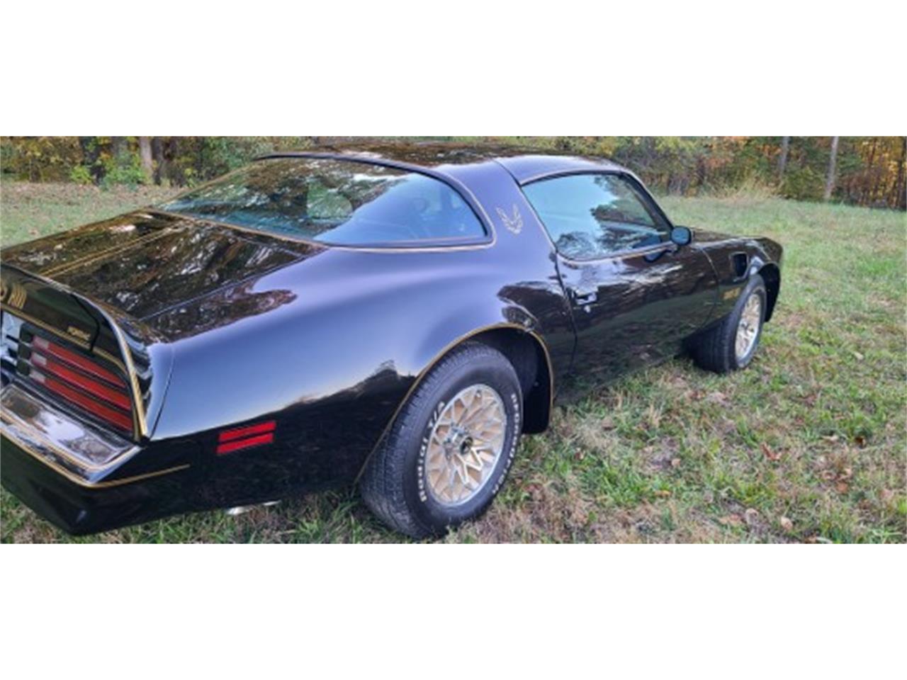 1978 pontiac firebird trans am