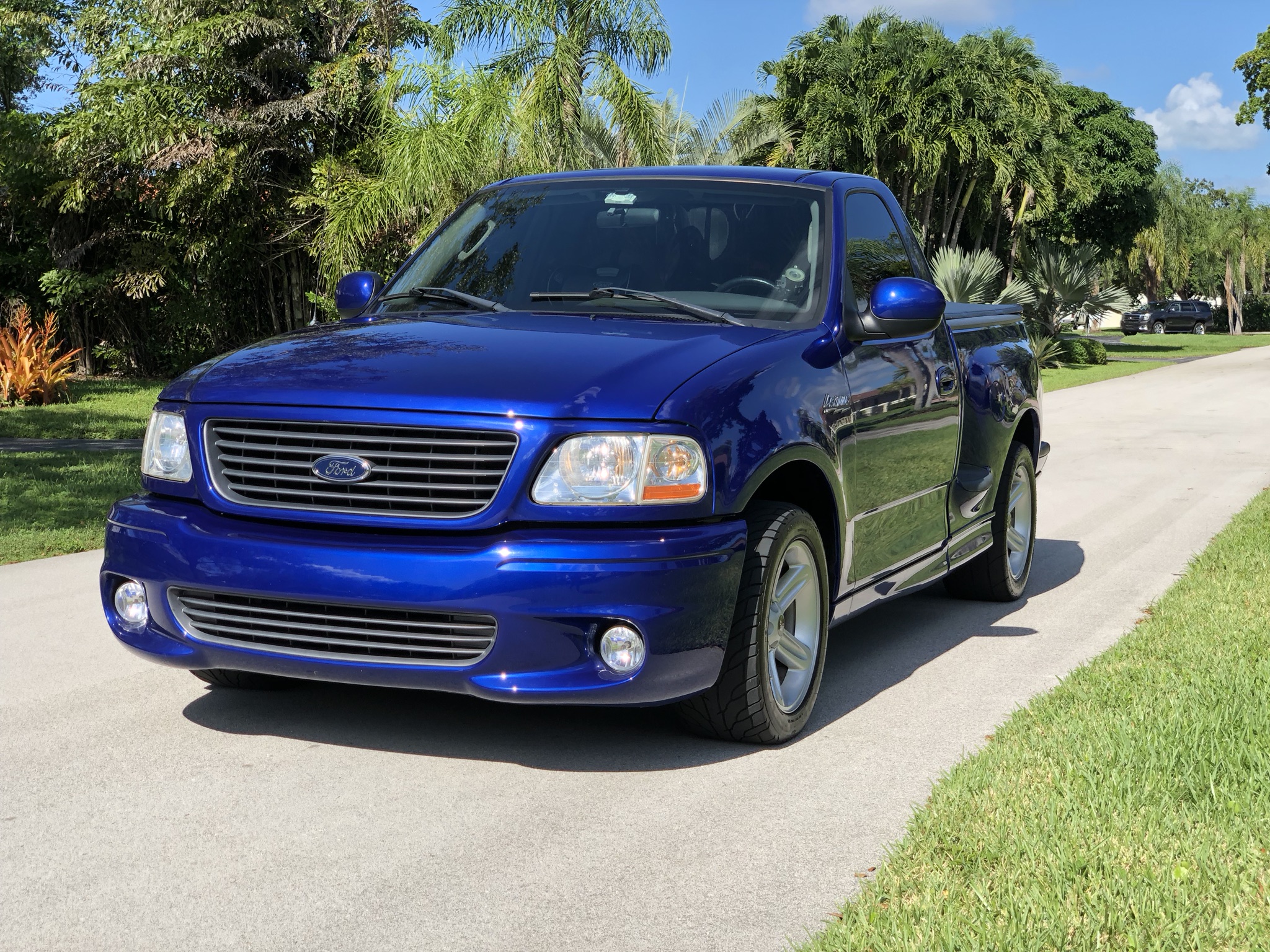 2004 ford f-150 svt lightning