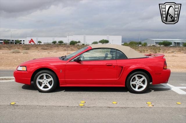 1999 ford mustang svt cobra
