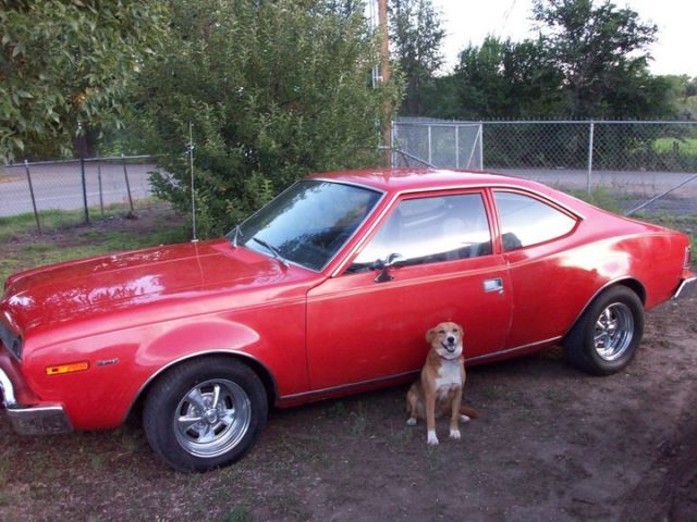 1974 amc hornet