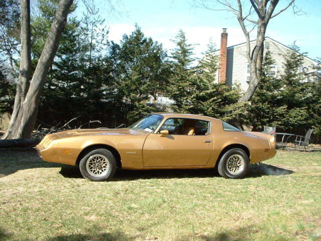 1980 pontiac firebird formula