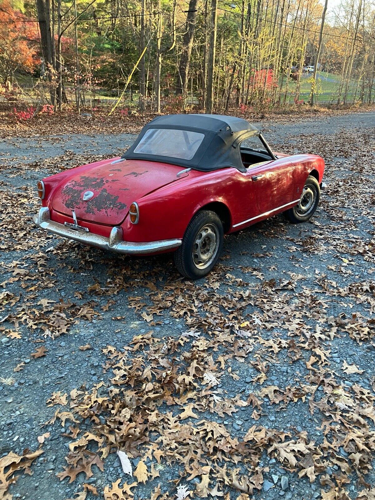 1959 alfa romeo giulietta