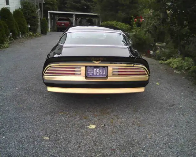 78 firebird formula