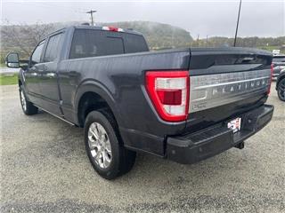 2021 Ford F-150 platinum