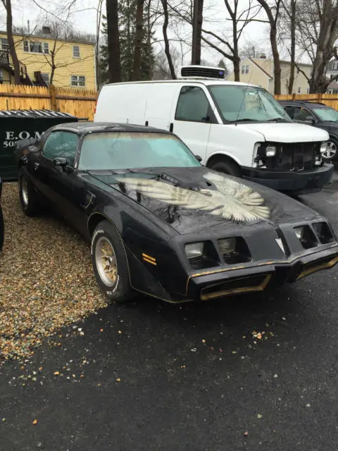 79 trans am y84 rare 301 car