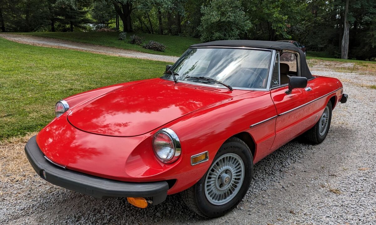 1978 alfa romeo spider, no rust, new paint and nice top. needs some detailing