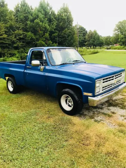 1987 chevrolet scottsdale c-10
