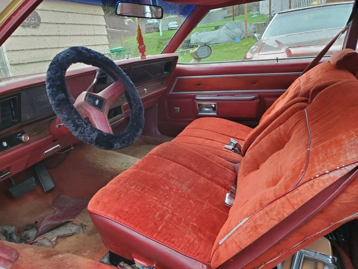 rare glasshouse landau project