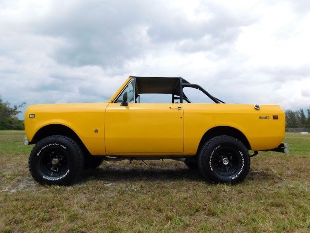 yellow international scout