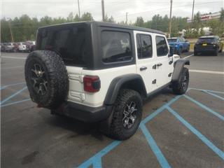 2019 Jeep Wrangler rubicon