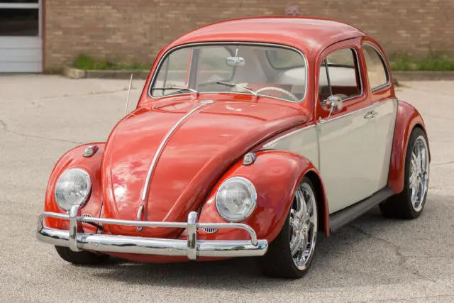 paprika volkswagen beetle