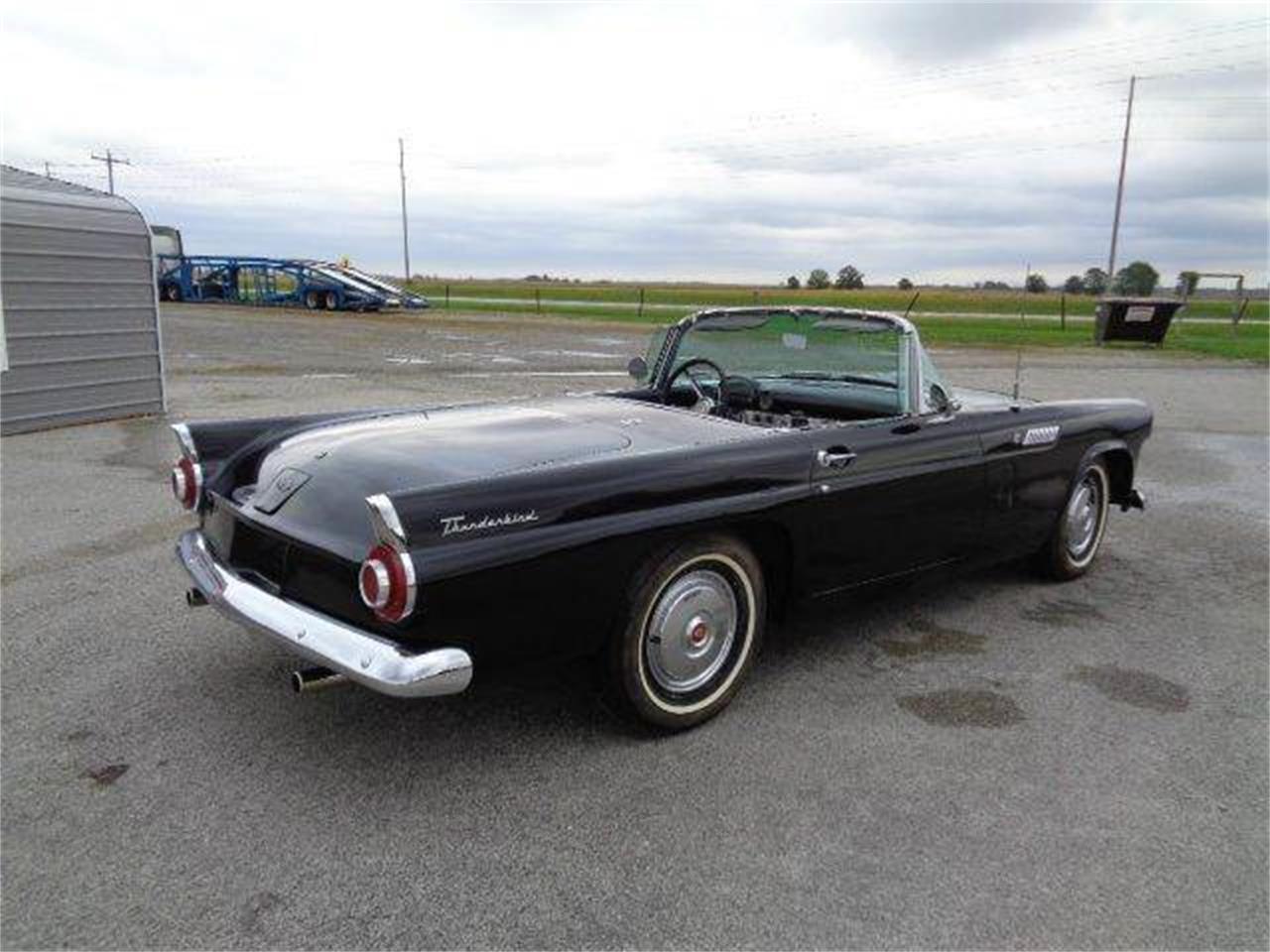 1956 ford thunderbird