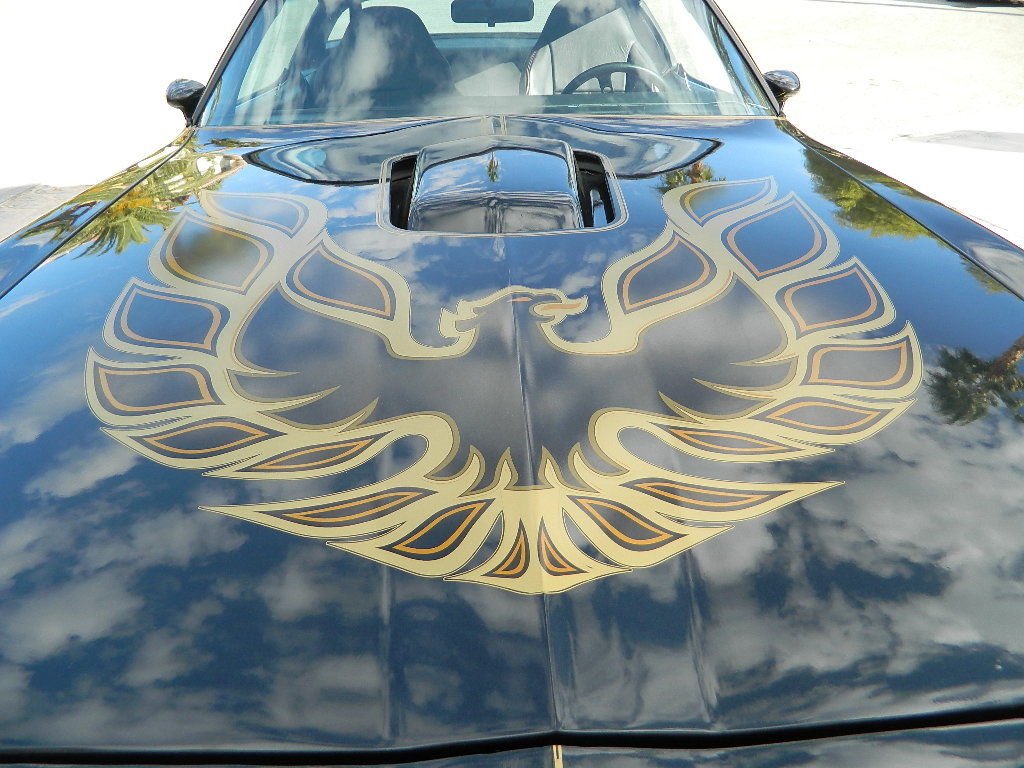 1979 pontiac trans am 6.6