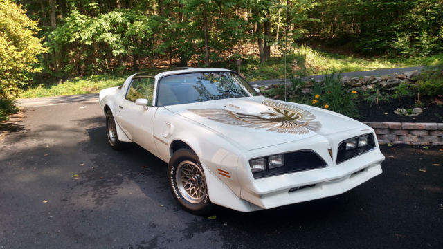 1981 pontiac firebird trans am 1977 455 h.o