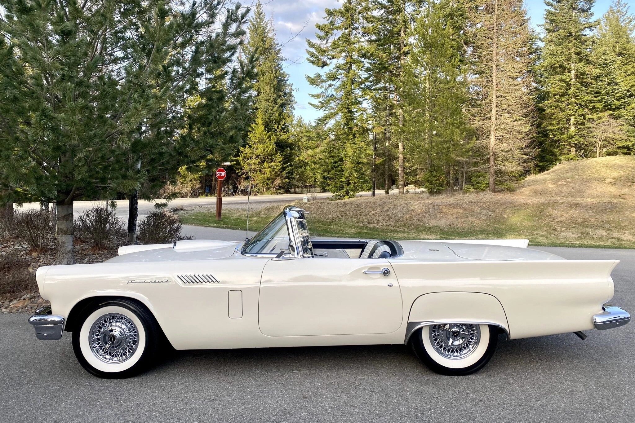 ford thunderbird