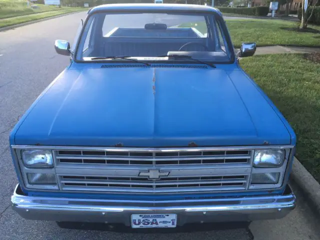 c-10 chevy truck, survivor from estate sale