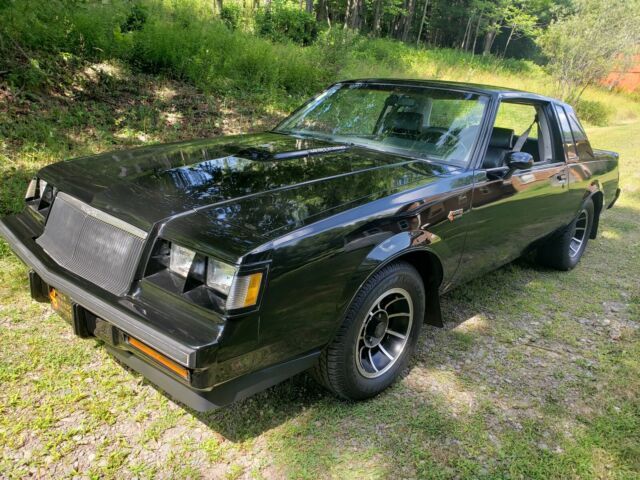 1984 grand national