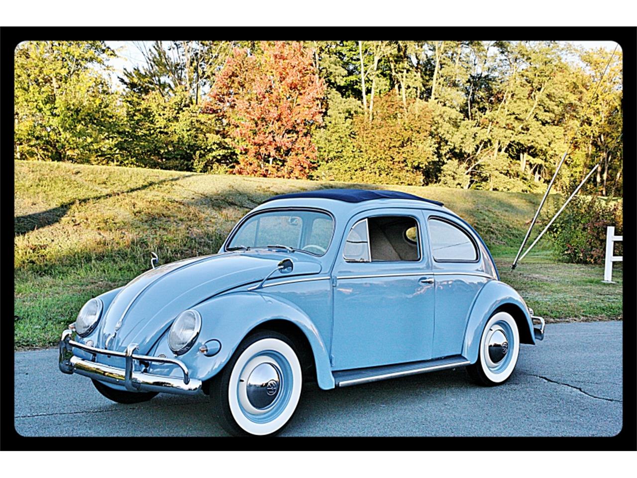 1956 volkswagen beetle