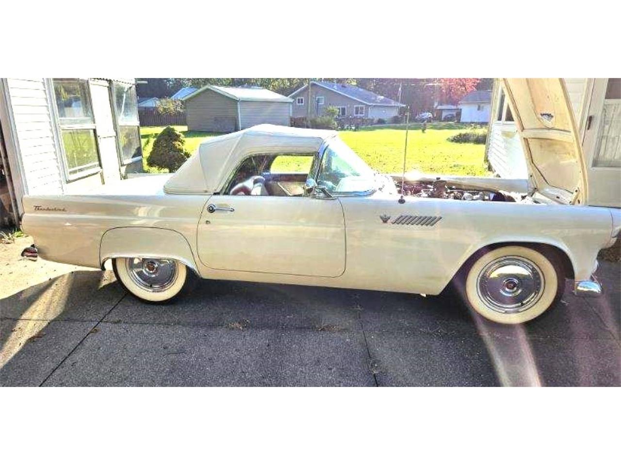 1955 ford thunderbird