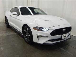 2023 Ford Mustang ecoboost