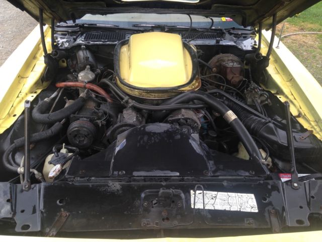 1979 pontiac trans am 6.6 liter
