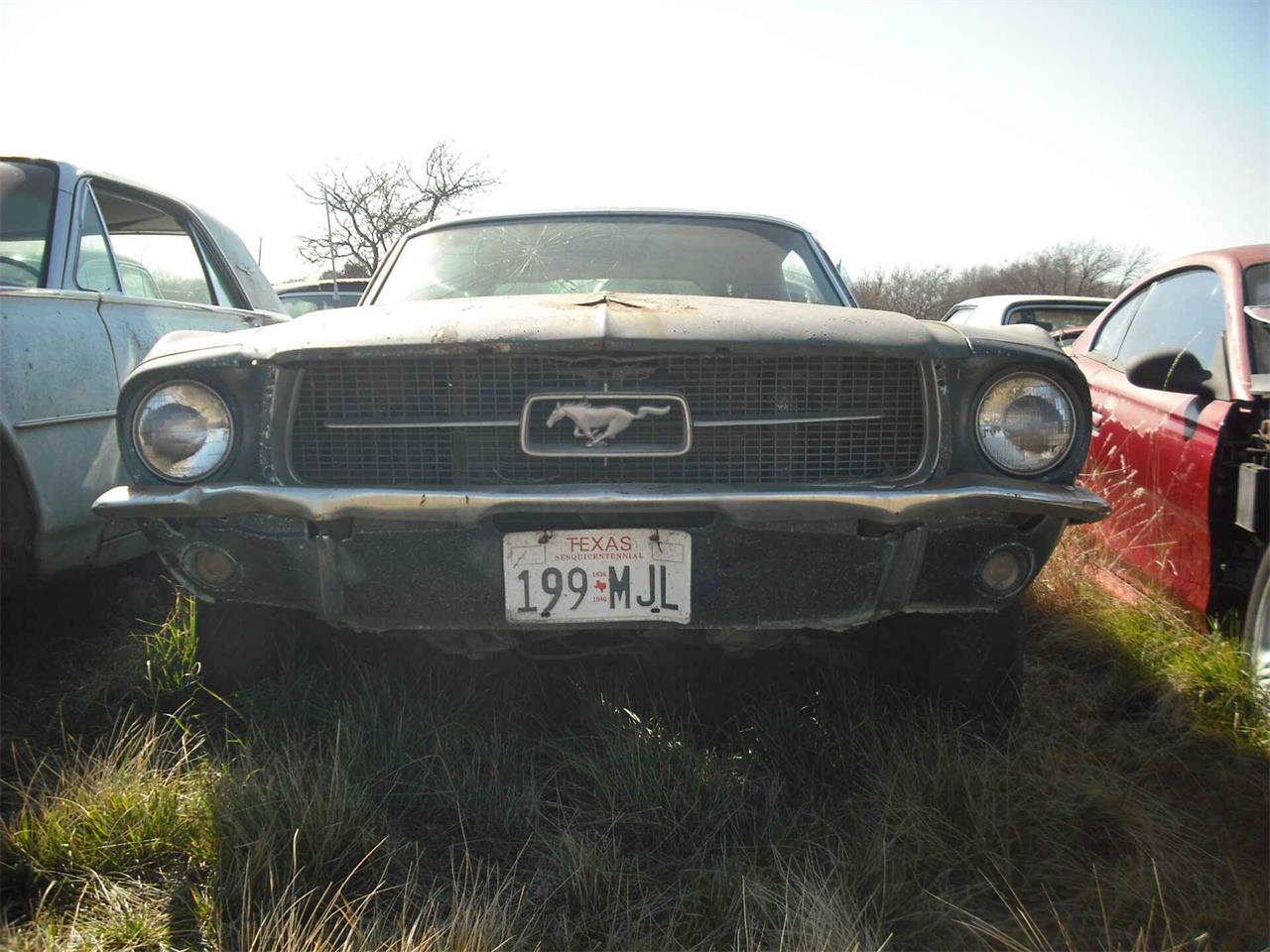 1967 ford mustang