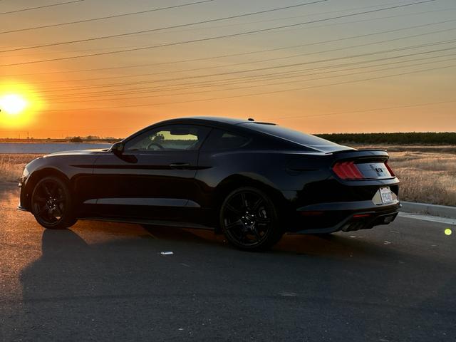 2019 ford mustang gt