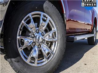 2019 Ford Ranger (North America) xlt
