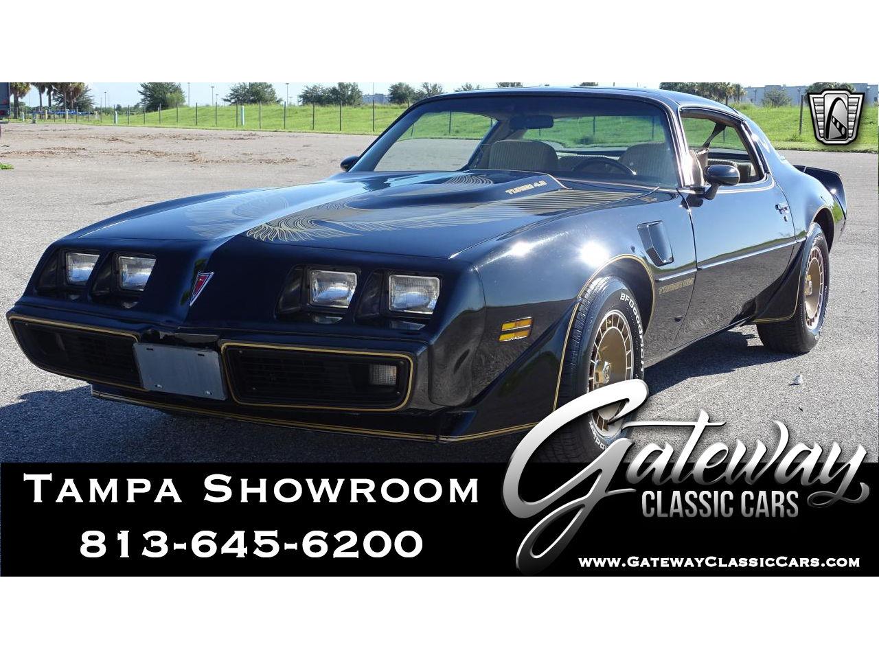 1981 pontiac firebird
