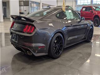 2019 Ford Mustang shelby gt350