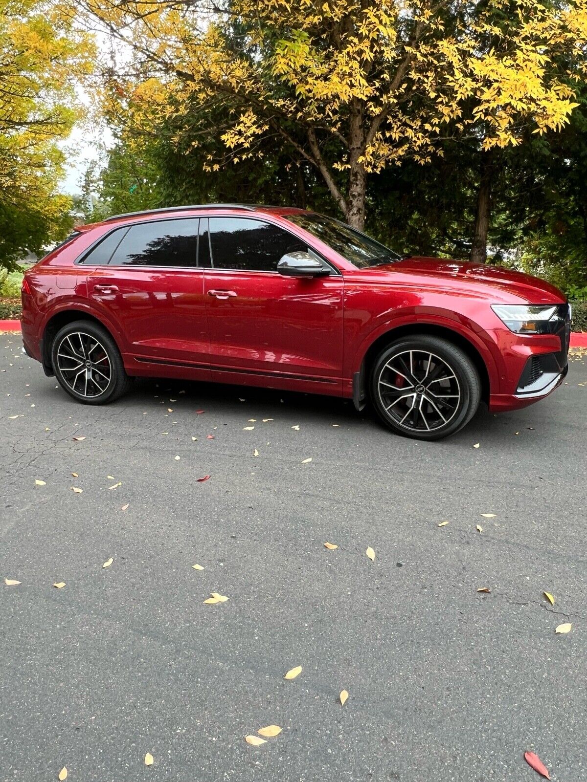 2023 audi sq8 prestige