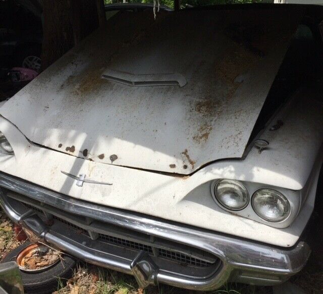 ford thunderbird needs some tlc!